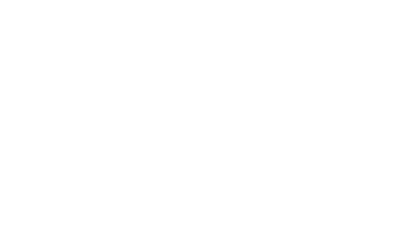 lOGO - MOTOR SIGHTS INTERNATIONAL